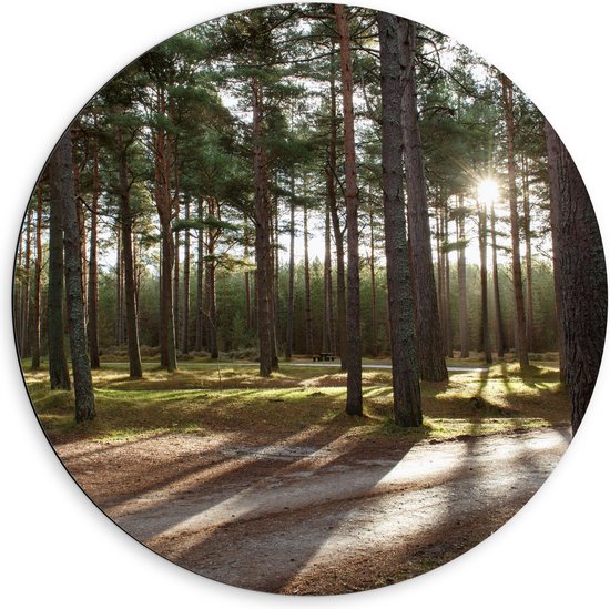 WallClassics - Dibond Muurcirkel - Wandelpaden in het Bos - 60x60 cm Foto op Aluminium Muurcirkel (met ophangsysteem)