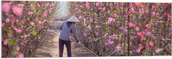 WallClassics - Verre Acrylique - Femme Vietnamienne Travaillant sur des Branches de Fleurs - 120x40 cm Photo sur Verre Acrylique (Décoration murale sur Acrylique)