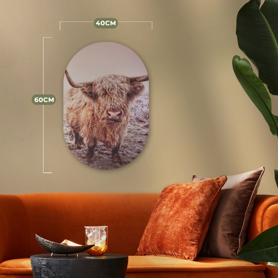 Ovale Mural - Décoration murale Plastique - Peinture Ovale - Highlanders écossais - Neige - Soleil - 40x60 cm - Forme miroir ovale sur plastique