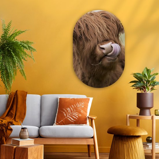 Miroir ovale - Décoration murale en plastique - Tableau ovale - Highlander écossais - Marron - Animaux - 60x90 cm - Forme miroir ovale sur plastique