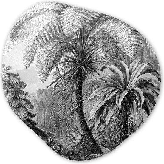 Organische Wanddecoratie - Kunststof Muurdecoratie- Organisch Schilderij - Natuur - Palmboom - Design- 90x90 cm - Organische spiegel vorm op kunststof
