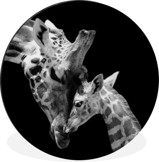 WallCircle - Wandcirkel - Muurcirkel - Giraffe - Wilde dieren - Portret - Zwart wit - Aluminium - Dibond - ⌀ 30 cm - Binnen en Buiten