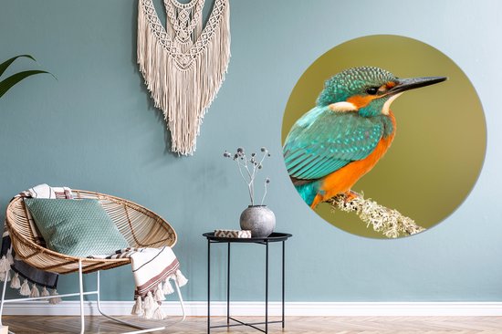 Cercle Mural - Cercle Mural - Martin Pêcheur - Animaux - Vogel - Aluminium - Dibond - 140x140 cm - Intérieur et Extérieur