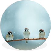 WallCircle - Wandcirkel ⌀ 90 - Vogels - Mus - Sneeuw - Winter - Ronde schilderijen woonkamer - Wandbord rond - Muurdecoratie cirkel - Kamer decoratie binnen - Wanddecoratie muurcirkel - Woonaccessoires