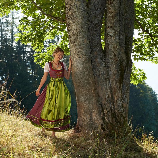 dressforfun Dirndl Frauenkostüm Midi-Dirndl Erding Modell 2, Trachtenkleid