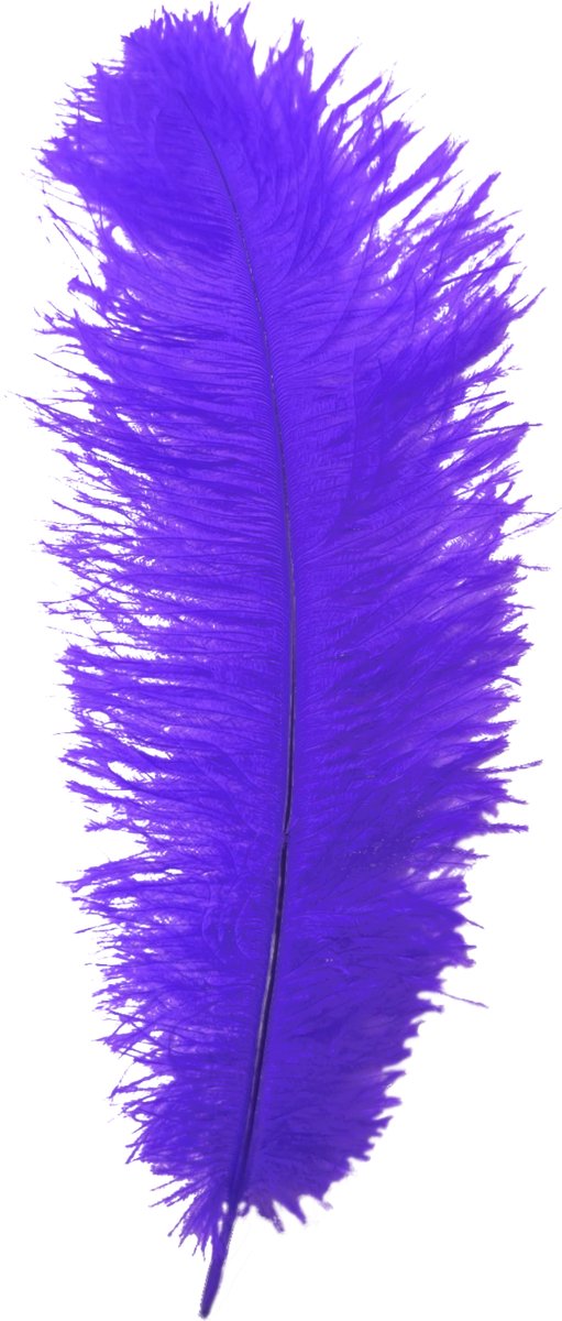 Veer - Paars - Floss - Piet - 30cm