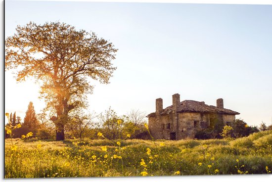 WallClassics - Dibond - Verlaten Gebouw bij een Boom - 75x50 cm Foto op Aluminium (Met Ophangsysteem)