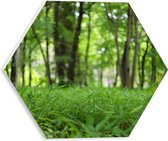 WallClassics - PVC Schuimplaat Hexagon - Groen Gras aan de Bosrand - 30x26.1 cm Foto op Hexagon (Met Ophangsysteem)