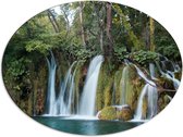 WallClassics - Dibond Ovaal - Prachtige Watervallen in de Natuur - 80x60 cm Foto op Ovaal (Met Ophangsysteem)