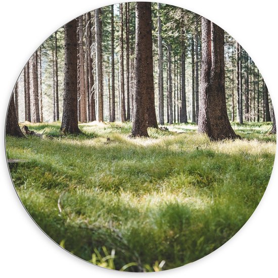 WallClassics - Dibond Muurcirkel - Groen Gras in het Bos - 100x100 cm Foto op Aluminium Muurcirkel (met ophangsysteem)