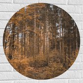 WallClassics - Muursticker Cirkel - Bos in de Herfst - 70x70 cm Foto op Muursticker