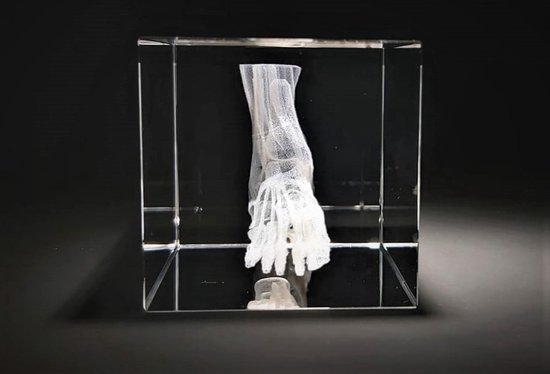 Modèle 3D du pied en brique de verre - squelette anatomique du pied