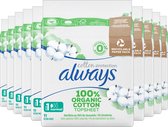 Always Cotton Protection - Normal - Maandverband Met Vleugels - Voordeelverpakking 10 x 11 stuks