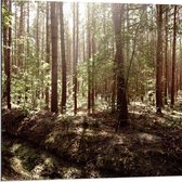 WallClassics - Dibond - Bomen in het Bos met Groene Bladeren - 80x80 cm Foto op Aluminium (Wanddecoratie van metaal)