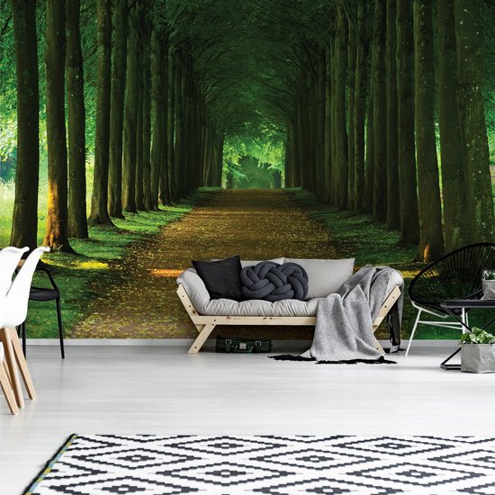 Fotobehang raam met uitzicht bos, zon, beek, 3D-effect, voor woonkamer, slaapkamer, vliesbehang inclusief behanglijm, behang, uv-bestendig, klaar voor montage, 368 x 254 cm, 4 banen