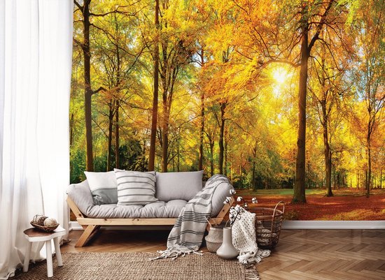 Photo Wallpaper Papier peint photo - Papier peint non tissé - Papier peint intissé - Papier peint - Forêt - Arbres - Automne - Soleil - Rayons de soleil - Feuilles - 208 x 146 cm