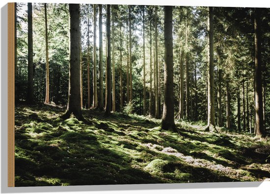 WallClassics - Hout - Bomen op Helling van Berg - 75x50 cm - 12 mm dik - Foto op Hout (Met Ophangsysteem)