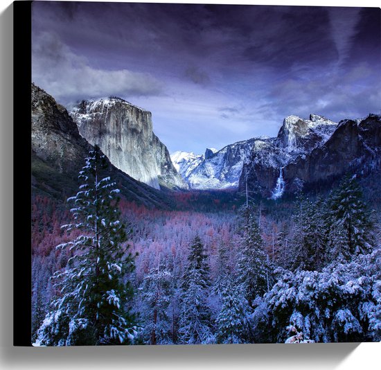 WallClassics - Canvas  - Besneeuwde Bergen met Bomen en Rotsen - 40x40 cm Foto op Canvas Schilderij (Wanddecoratie op Canvas)