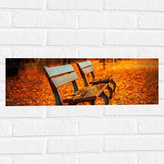 WallClassics - Muursticker - Bankjes tijdens Herfst in het Park - 60x20 cm Foto op Muursticker