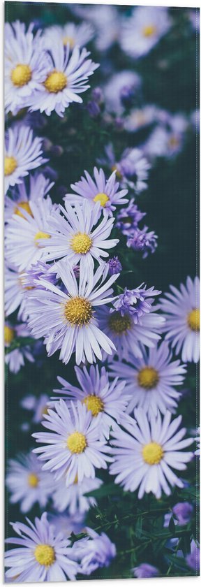 WallClassics - Drapeau - Vue de Dessus de Marguerites - 30x90 cm Photo sur Drapeau Polyester