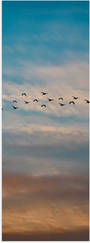 WallClassics - Poster Glanzend – Groep Vliegende Vogels - 20x60 cm Foto op Posterpapier met Glanzende Afwerking