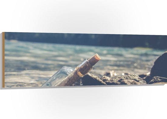 WallClassics - Hout - fles op rotsen - 150x50 cm - 12 mm dik - Foto op Hout (Met Ophangsysteem)