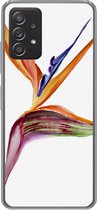 Telefoonhoesje Geschikt voor Samsung galaxy a73 hoesje - Strelitzia - Aquarel - Bloemen - Siliconen Telefoonhoesje