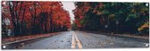 WallClassics - Tuinposter – Gele Strepen op Weg omringd door Herfstbomen - 120x40 cm Foto op Tuinposter  (wanddecoratie voor buiten en binnen)