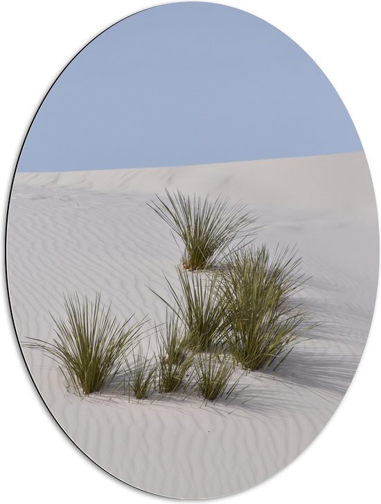 WallClassics - Dibond Ovaal - Grassen in het Zand in Duinen - 60x80 cm Foto op Ovaal (Met Ophangsysteem)