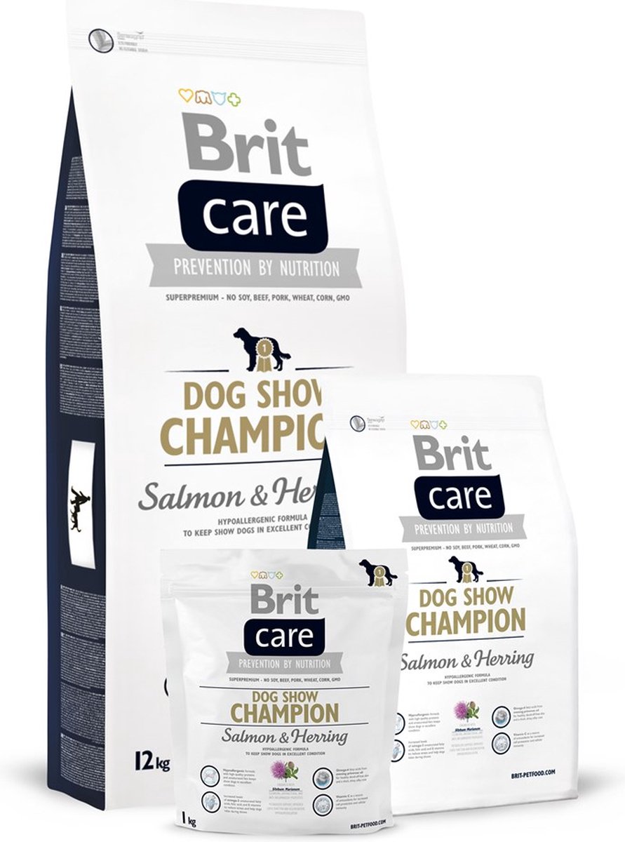 Brit BRIT Care Dog Show Champion 3