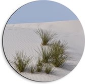 WallClassics - Dibond Muurcirkel - Grassen in het Zand in Duinen - 40x40 cm Foto op Aluminium Muurcirkel (met ophangsysteem)