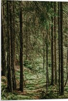 WallClassics - Panneau en mousse PVC - Feuilles vertes au Terre des Arbres - Photo 50x75 cm sur panneau en mousse PVC (avec système d'accrochage)