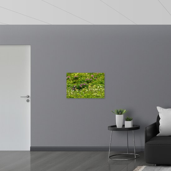 WallClassics - Dibond - Fleurs colorées dans l'herbe verte - Photo sur aluminium 75x50 cm (avec système de suspension)
