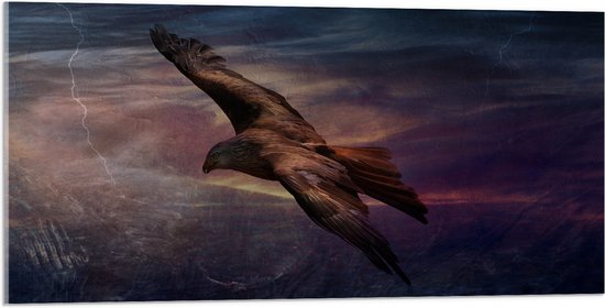 WallClassics - Acrylglas - Golden Eagle Vliegend - 100x50 cm Foto op Acrylglas (Met Ophangsysteem)