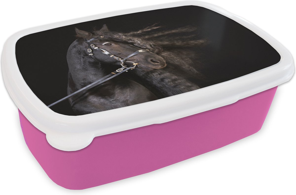 Broodtrommel Roze - Lunchbox - Brooddoos - Paard - Halster - Manen - 18x12x6 cm - Kinderen - Meisje