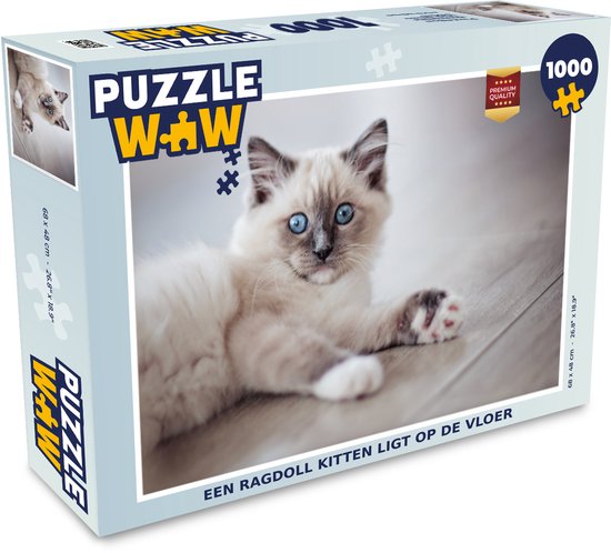 Puzzle Un chaton Ragdoll allongé sur le sol - Puzzle - Puzzle 1000 pièces adultes - Sinterklaas cadeaux - Sinterklaas pour les grands enfants