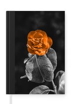 Notitieboek - Schrijfboek - Bloemen - Rozen - Oranje - Zwart - Wit - Notitieboekje klein - A5 formaat - Schrijfblok