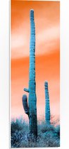 WallClassics - PVC Schuimplaat - Cactussen in Veld onder Oranje Lucht - 20x60 cm Foto op PVC Schuimplaat (Met Ophangsysteem)