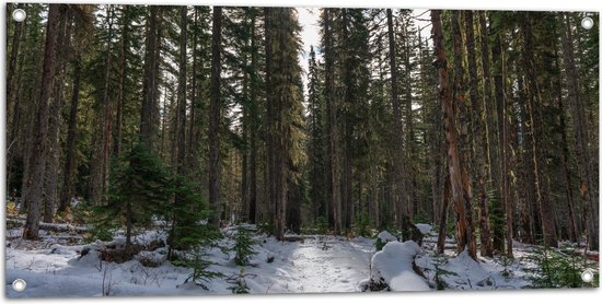 WallClassics - Garden Poster - Snow at Tall Arbres - 100x50 cm Photo sur Garden Poster (décoration murale pour l'extérieur et l'intérieur)