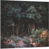 WallClassics - Drapeau - Forêt Vert Foncé - 100x100 cm Photo sur Drapeau Polyester