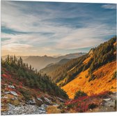 WallClassics - Vlag - North Cascades National Park - 80x80 cm Foto op Polyester Vlag