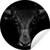 WallCircle - Papier peint rond - Papier peint autocollant - Animaux - Taureau - Zwart - Wit - Papier peint autocollant rond - 80x80 cm - Papier peint rond - Papier peint rond - Salon