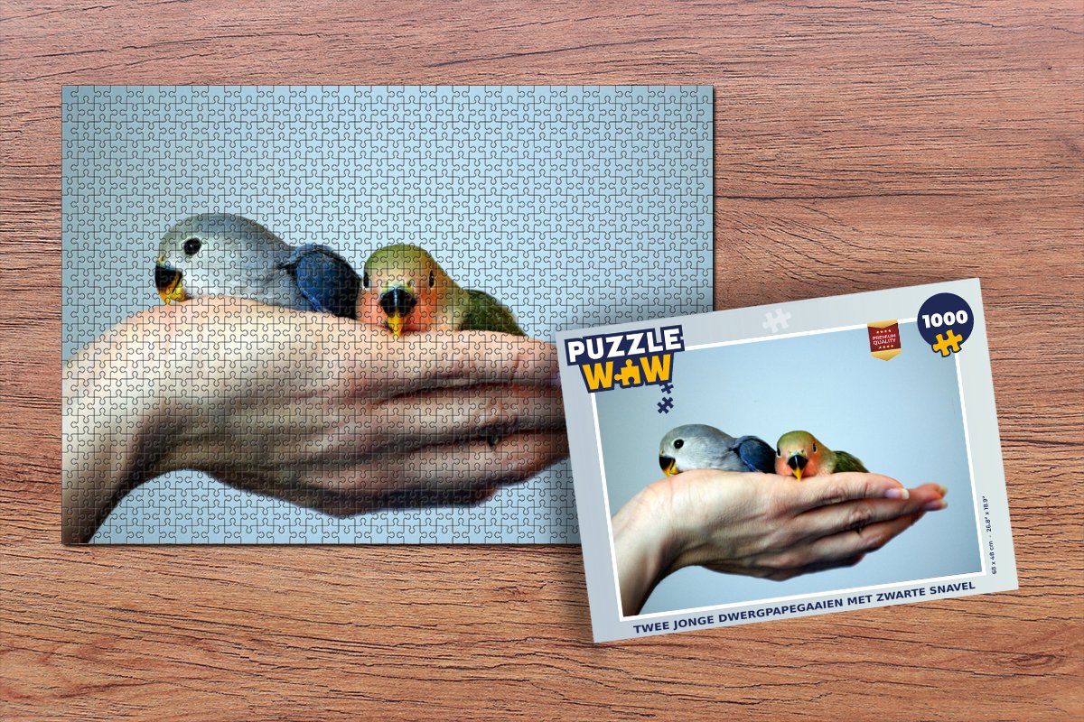 Puzzel Twee jonge dwergpapegaaien met zwarte snavel - Legpuzzel - Puzzel 1000 stukjes volwassenen