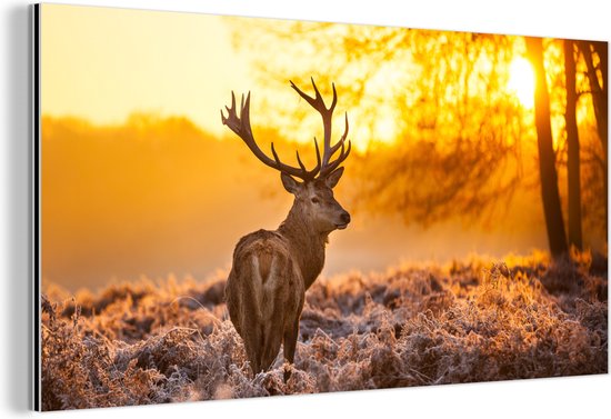 Wanddecoratie Metaal - Aluminium Schilderij Industrieel - Hert - Dieren - Zonsondergang - Winter - Heide - Natuur - 80x40 cm - Dibond - Foto op aluminium - Industriële muurdecoratie - Voor de woonkamer/slaapkamer