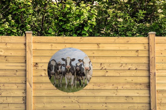Garden Circle Vaches - Pâturage - Animaux - Nature - Herbe - 90x90 cm - Affiche Ronde de Jardin - Extérieur