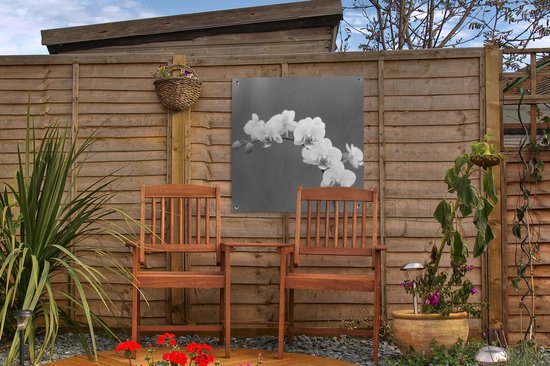 Posters de jardin Orchidée - Fleurs - Plante - Wit - Violet - 50x50 cm - Toile jardin - Affiche extérieure