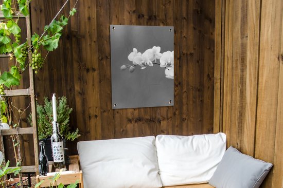 Tableau jardin Orchidée - Fleurs - Plante - Wit - Violet - 60x80 cm - Affiche jardin - Toile jardin - Affiche extérieur