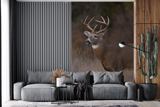 Behang - Fotobehang Herfst - Hert - Gras - Natuur - Dieren - Breedte 225 cm x hoogte 350 cm