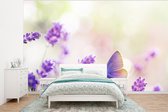 Behang - Fotobehang Lavendel - Vlinder - Bloemen - Breedte 350 cm x hoogte 260 cm