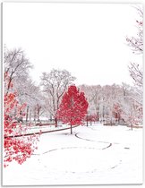 WallClassics - PVC Schuimplaat- Rode Boom in Witte Sneeuw - 30x40 cm Foto op PVC Schuimplaat